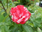 DSCN3305.JPG