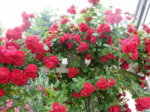DSCN3312.JPG