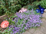 DSCN3302.JPG