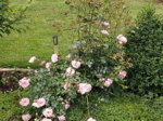 DSCN0496.JPG