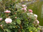 DSCN0501.JPG