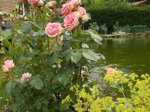 DSCN0513.JPG