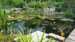 20160617_165612.jpg