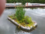 20160619_145237.jpg