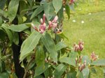 DSCN0514.JPG