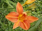 DSCN0521.JPG