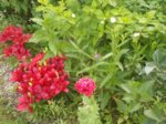 DSCN0565.JPG
