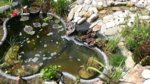 20160622_131313.jpg