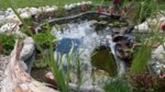 20160622_133221.jpg