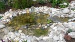 20160622_133254.jpg