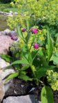 20160623_094905.jpg