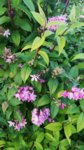 20160622_211337.jpg
