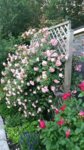 20160622_212323.jpg