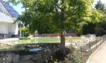 20160623_114313.jpg