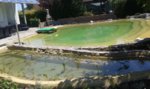 20160623_114241.jpg