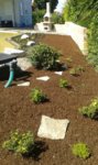 20160620_154747.jpg