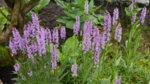 P1010140.JPG