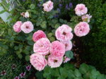 DSCN3385.JPG