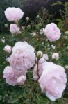 20160625_203333.jpg