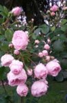 20160625_203310.jpg