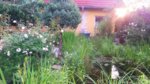 20160625_203141.jpg