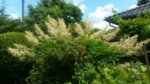 20160618_121633.jpg