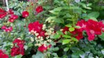 20160618_160132.jpg