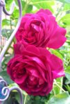 20160618_160105.jpg