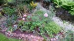 20160625_130052.jpg
