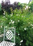 20160625_130219-1.jpg