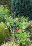 20160625_130259.jpg
