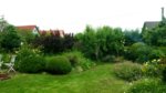 20160625_130348.jpg