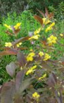 20160625_130411.jpg