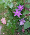 20160625_182614-1.jpg