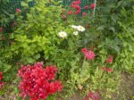 DSCN0581.JPG