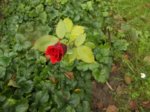 DSCN0585.JPG