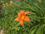 DSCN0587.JPG