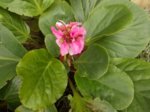 DSCN0592.JPG
