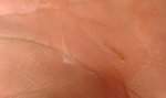 20160629_174046.jpg