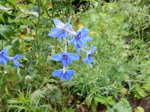 DSCN3413.JPG