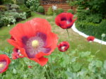 DSCN3411.JPG