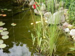 DSCN3416.JPG