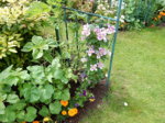 DSCN3419.JPG