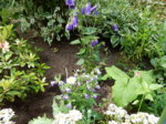 DSCN3420.JPG
