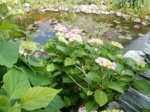 DSCN3422.JPG