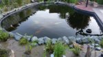 20160706_204703.jpg 20160706_204703.jpg