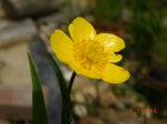 DSCN0280.JPG