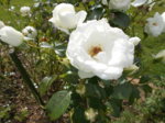 DSCN0648.JPG