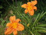 DSCN0659.JPG