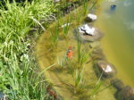 DSCF5888.JPG